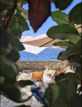 Casa Torra Erbalunga